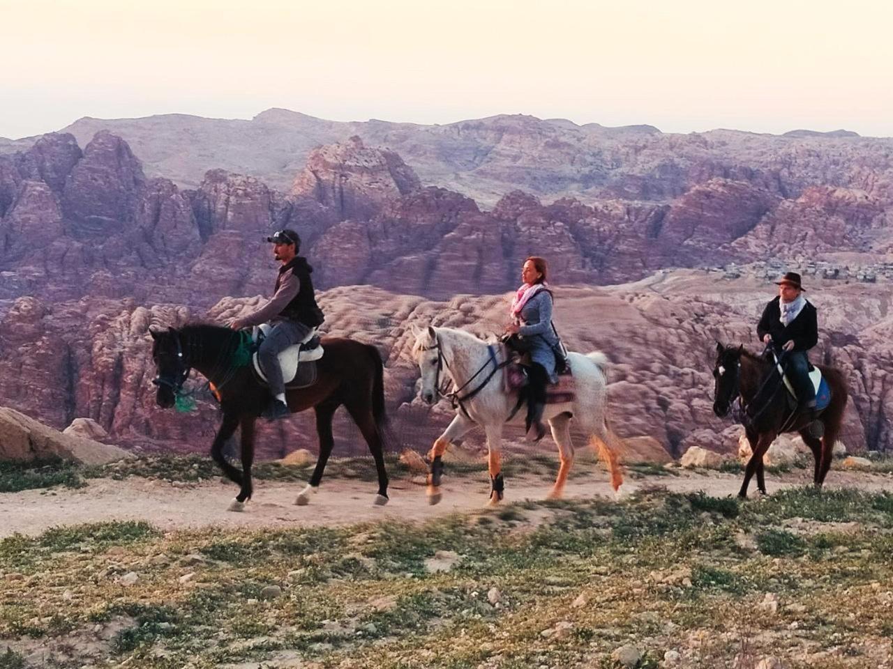 Petra Desert Dream Hotel Wadi Musa Extérieur photo